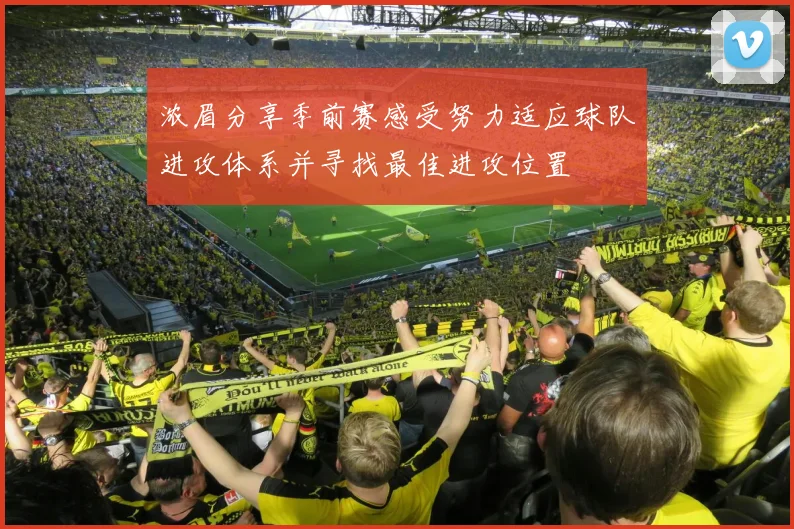浓眉分享季前赛感受努力适应球队进攻体系并寻找最佳进攻位置