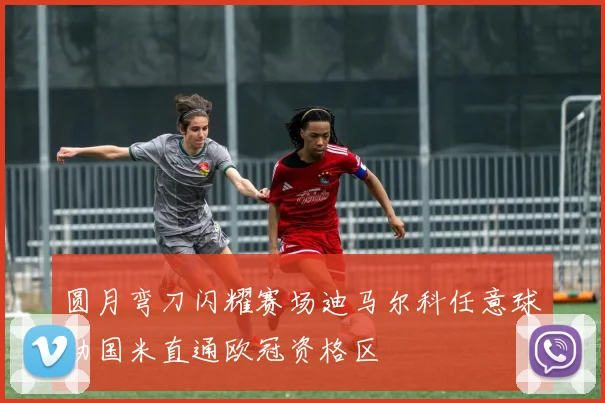 圆月弯刀闪耀赛场迪马尔科任意球助国米直通欧冠资格区