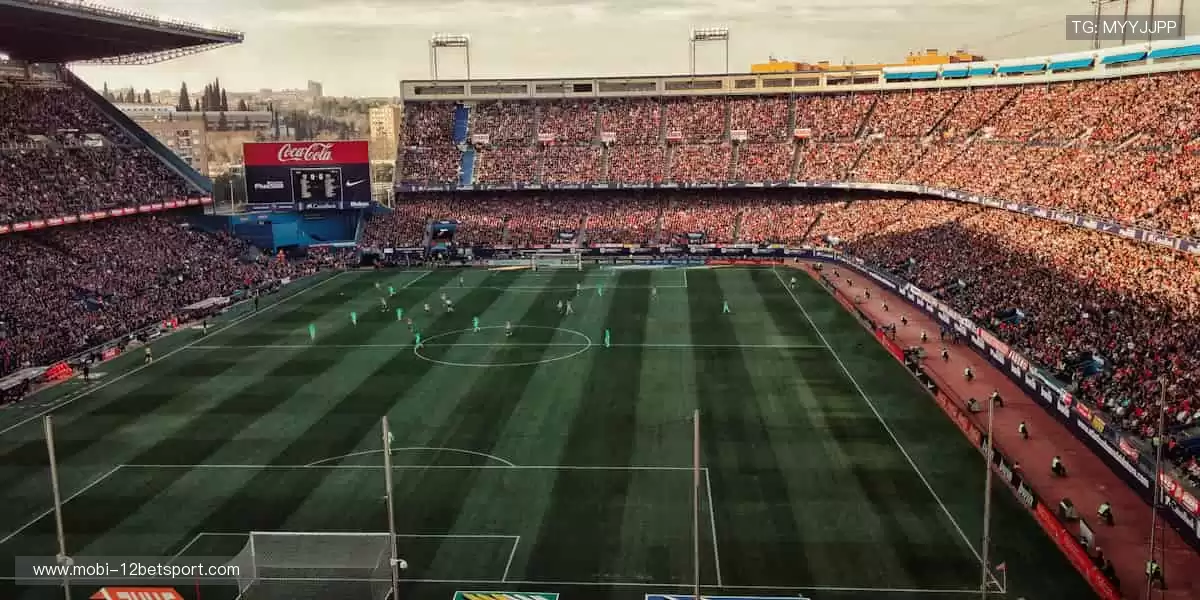 📱高清直播，随时随地掌控赛事！